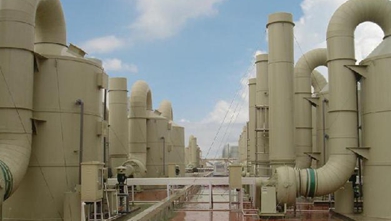 http://www.mukaiyamafarm.com/
